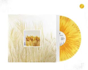 正版 朴树专辑 我去2000年 lp黑胶唱片 黄色彩胶12寸