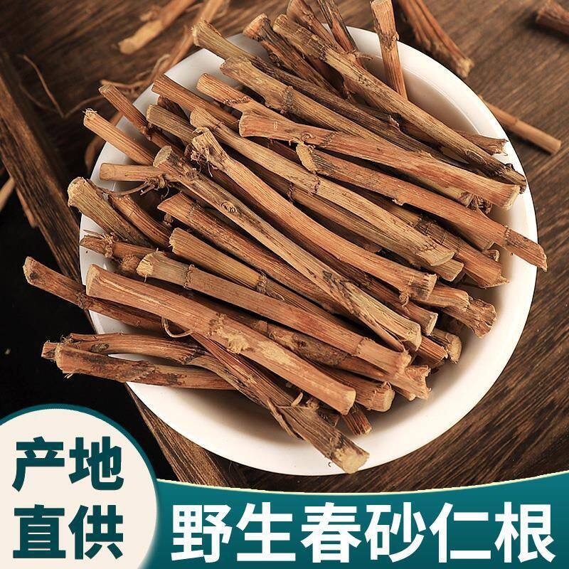 高山春砂仁根中草材干货正宗阳春砂仁根干春沙仁干根煲汤养胃新鲜