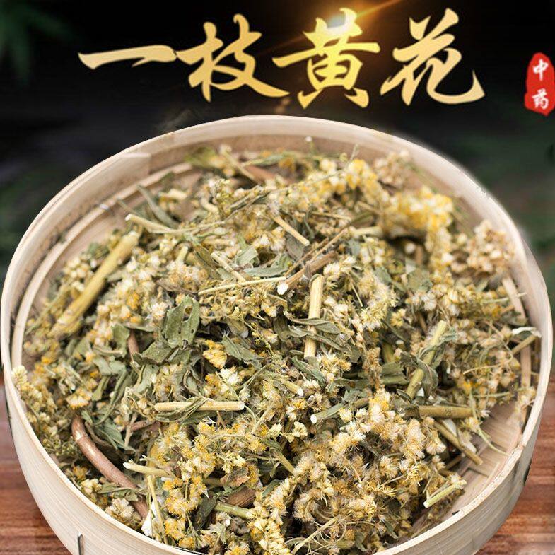 一枝黄花山区一枝黄花 中草药新鲜干货黄花草 中草药老虎尿草药材