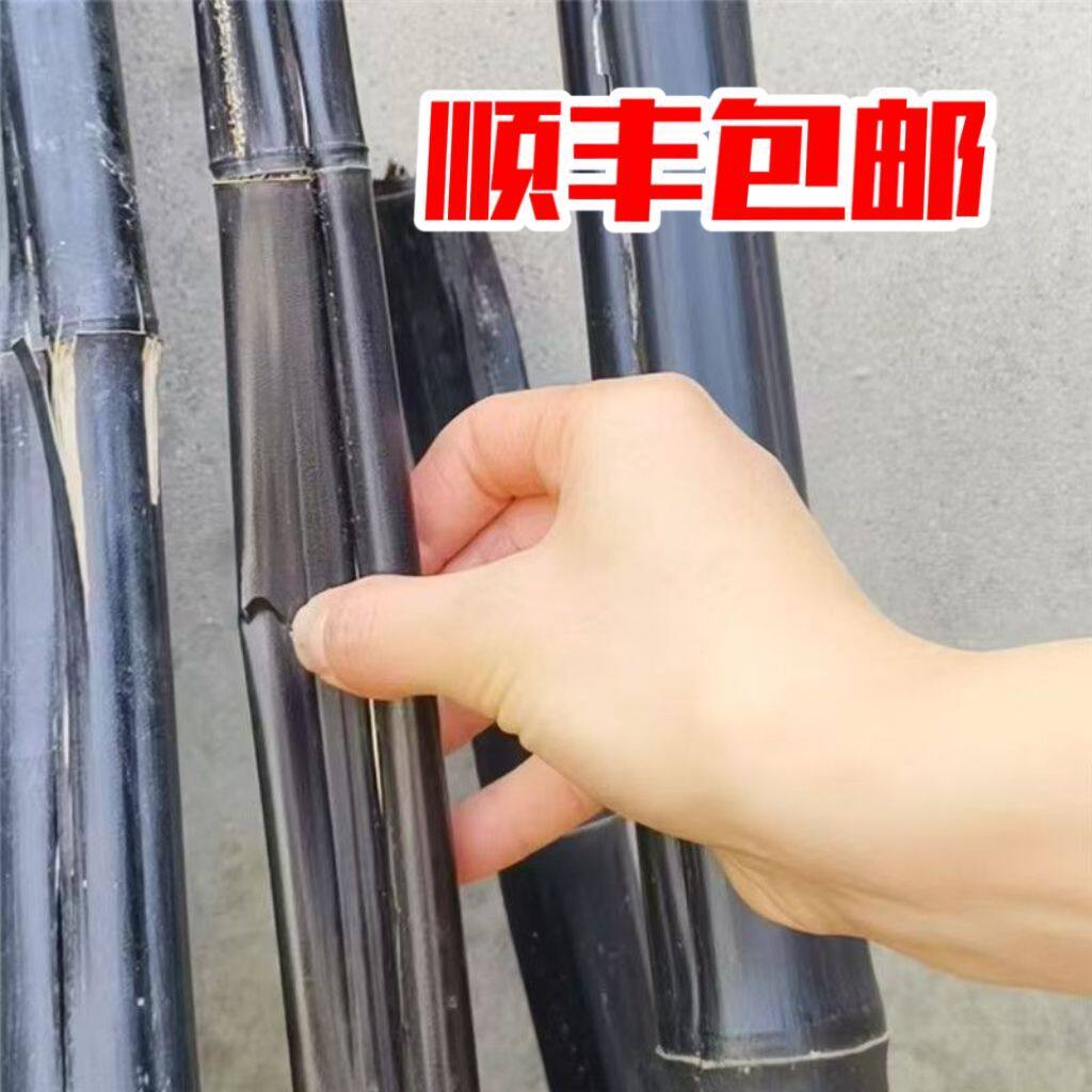 天然去积水积液排水神器可熬膏佳中药竹子正品清仓仙人仗1斤全黑