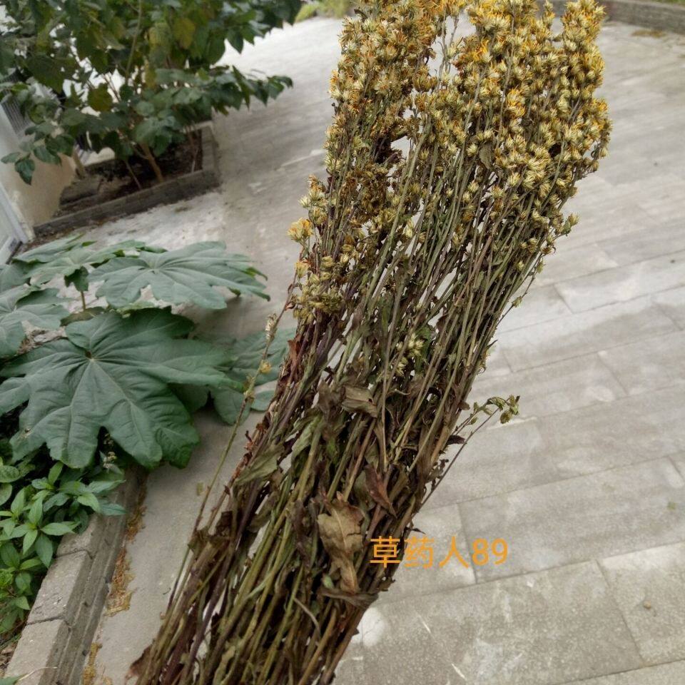 一枝黄花草药材材浙江山区一枝黄花 金锁钥 老虎尿 全草带根(默认
