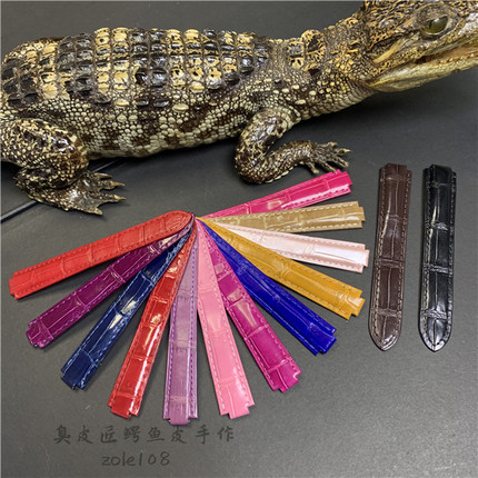 适用高级鳄鱼皮各品牌款式真鳄鱼皮皮表带现货 （现货截图发货）