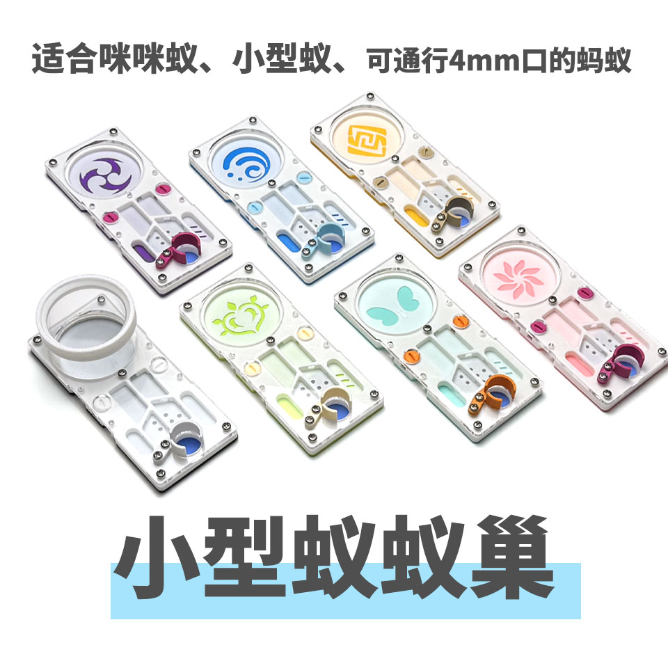 小型蚁咪咪蚁试管巢蚁巢平面巢酷乐蚂蚁大头蚁铺道蚁全异玉米毛蚁