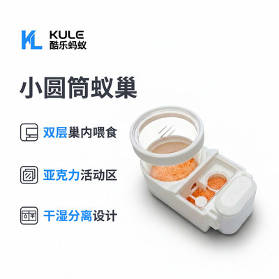 蚁巢新后平面拓展3d打印工匠收获黑金弓背介质保湿酷乐蚂蚁蚂蚁巢