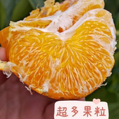 鲜薇四川眉山明日见柑橘新鲜应季 水果