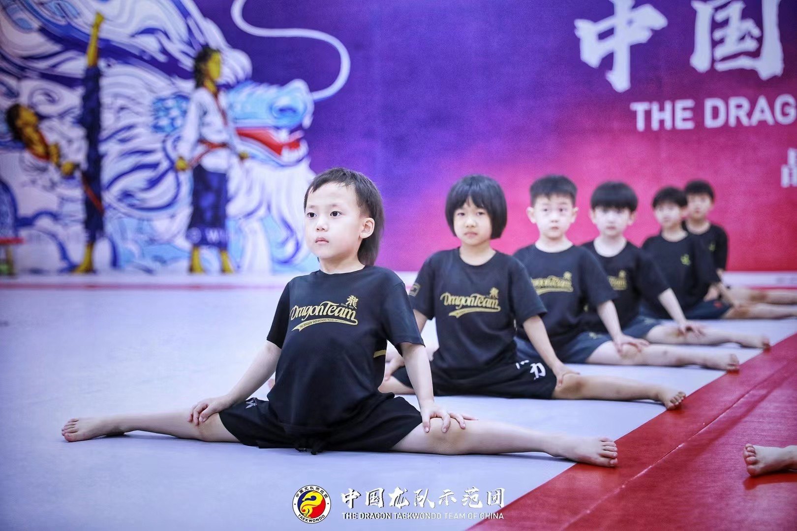 正品跆拳道龙拳小子林秋楠同款运动舒适休闲短裤中国龙队示范团出
