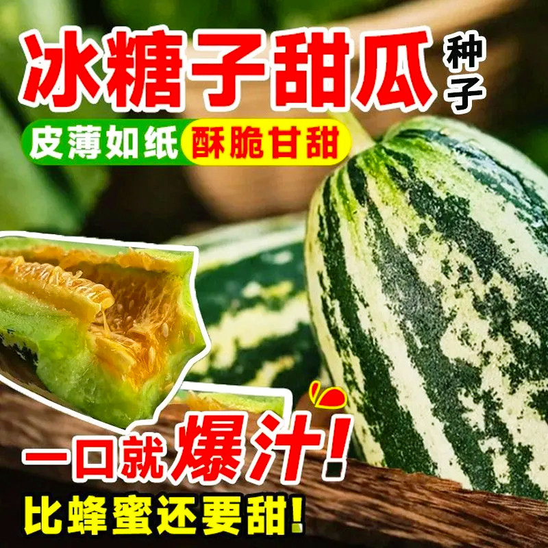 冰糖子甜掉牙甜瓜种子青皮羊角蜜香瓜籽春季四季庭院阳台水果种子