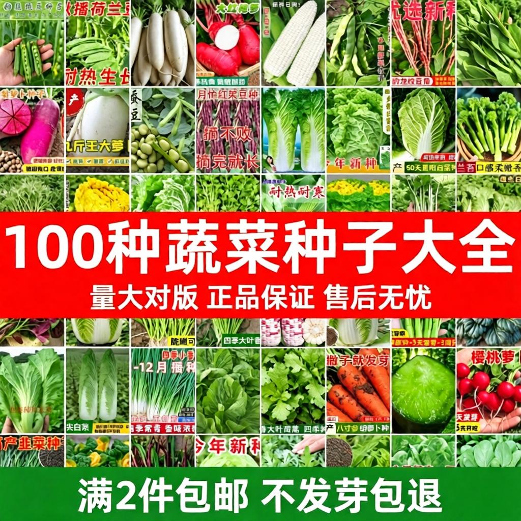 蔬菜种子大全组合套餐混搭一年四季易种阳台盆栽组合装懒人菜种子图片