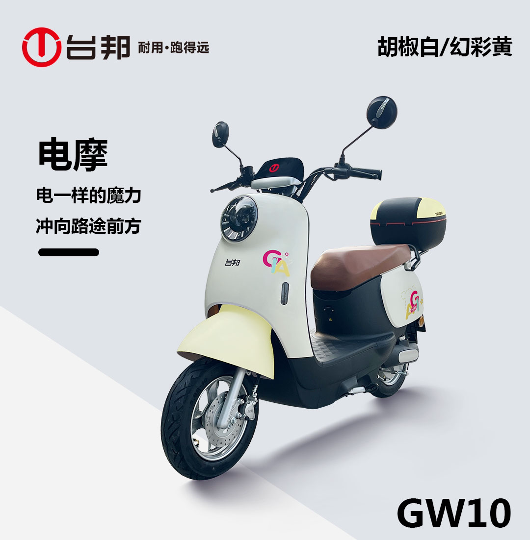新隆环城小金龟电动车配件五星钻豹zb1200dt-12绿驹电动车前围外