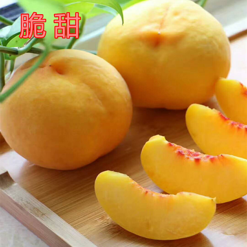 锦绣黄桃新鲜水果5斤陕西包邮