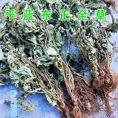 当季干蓝布正中药材整棵带根500g