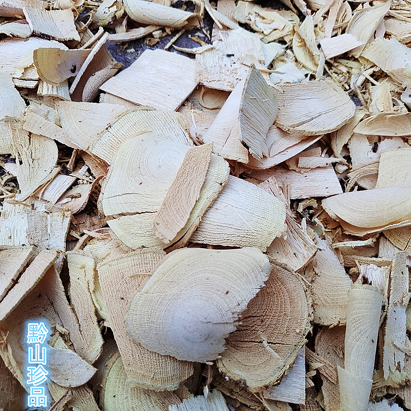 新鲜皂角刺根皂荚根中药材鸡栖子