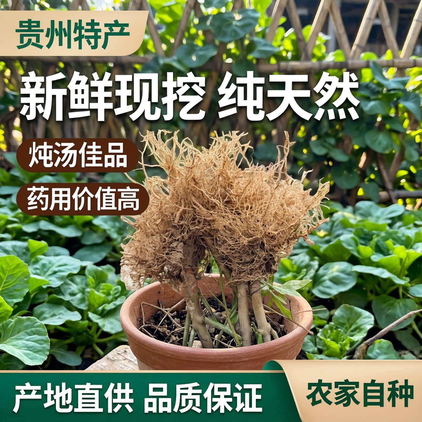 晒干朝天椒小米椒指天椒辣椒根