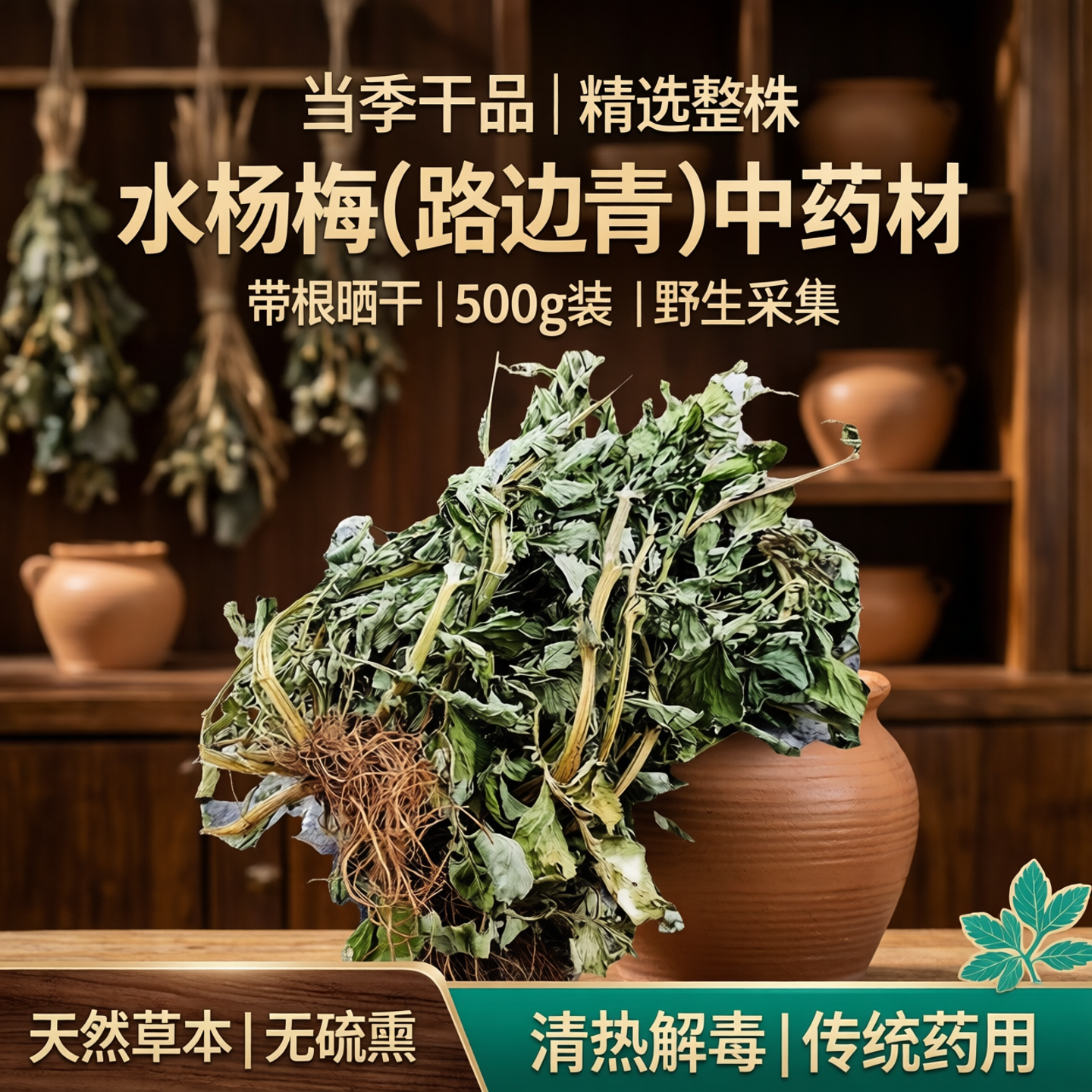 无硫中药材蓝布正整棵带根头晕草