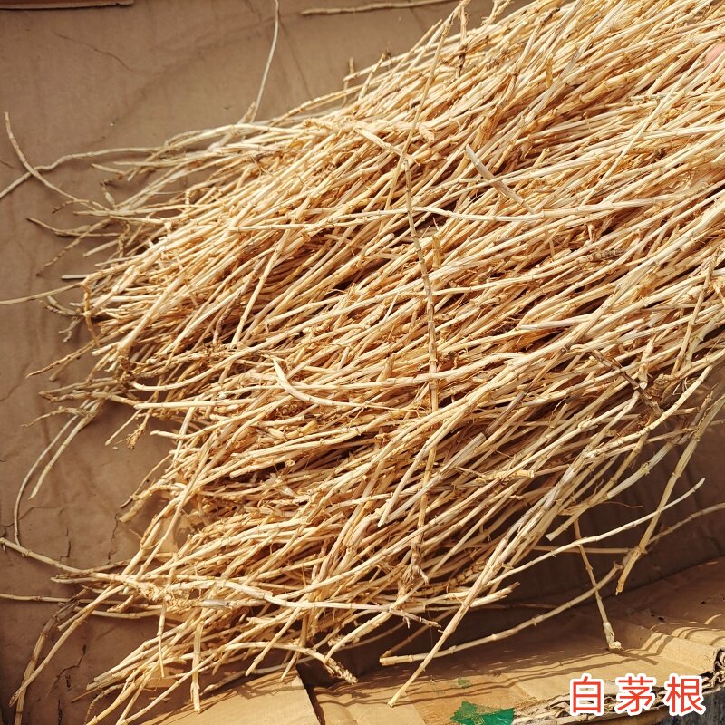正宗野生现挖晒干白茅根甜草根