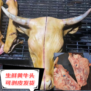剥皮生牛头 整个黄牛头 新鲜带毛脱毛大牛头牛头宴商用批发可定制