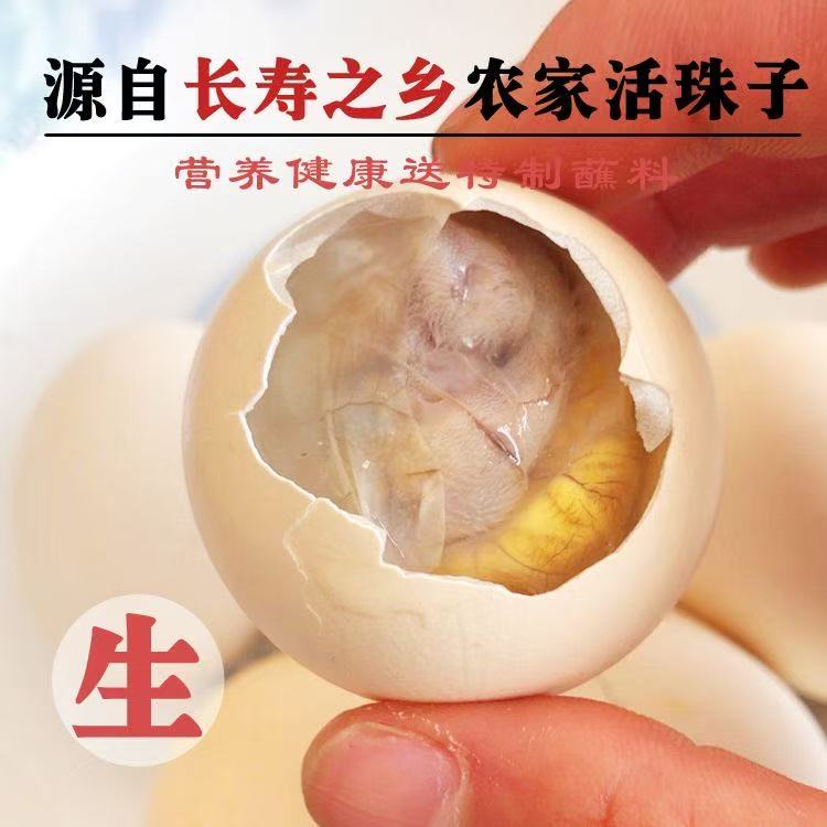 孵化13天土鸡活珠子鲜活生鸡活珠生命蛋河南特产钢化蛋非全毛蛋