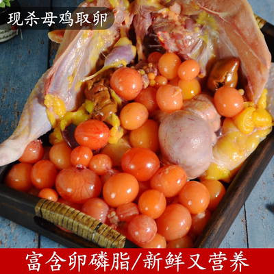 新鲜鸡蛋黄冷冻阴蛋狗狗美毛蛋黄粉卵磷脂宠物猫粮狗粮伴侣2斤装