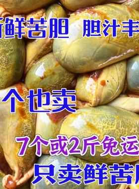 猪苦胆新鲜公猪胆冷冻土猪纯胆汁老偏方苦胆干药引用现杀黑猪胆液