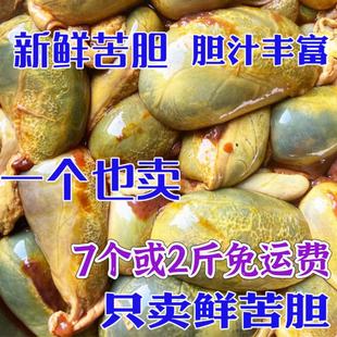 猪苦胆新鲜公猪胆冷冻土猪纯胆汁老偏方苦胆干药引用现杀黑猪胆液