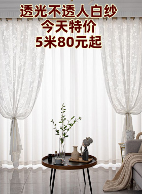 白色窗纱窗帘特价处理客厅阳台宿舍现代出租房温馨简约透光不透人