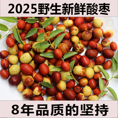 陕西山西野生酸枣新鲜现摘孕妇