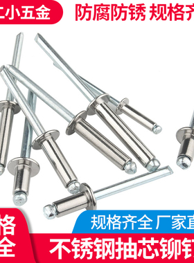 201不锈钢 抽芯 拉铆钉 K型圆头帽装潢钉拉钉 M3.2/M4国标汇成丰