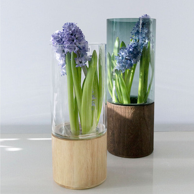 ins轻奢风实木底座透明水培花瓶