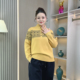 秋冬费尔岛提花设计感亲肤保暖半高领套头内搭毛衣针织衫 大码 女装