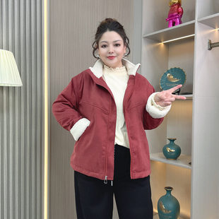 立领棉衣外套女秋冬新款 胖mm羊羔毛加绒加厚保暖派克棉服上衣 大码