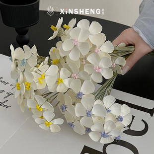 芯苼物语 蓝星花干花鲜花花束氛围感搭配材料手工diy花艺花店资材