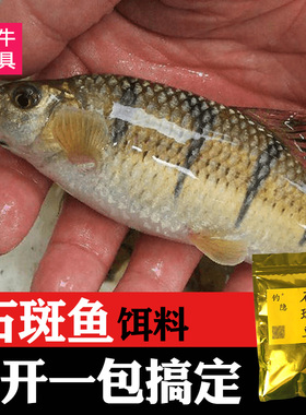 钓小溪流石斑鱼饵料窝料野钓鱼饵鱼料溪石班鱼鱼饵石斑光唇鱼饵料
