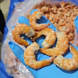 金钩海米虾米海米干货虾仁干虾干非特新鲜开洋虾皮非无盐500g