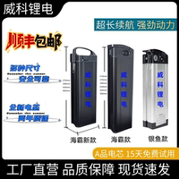 全新48v20A鋰電池代駕折疊車電瓶