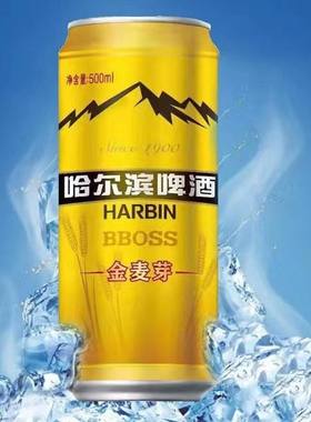 哈尔滨啤酒金麦芽货哈尔滨小麦啤酒500ml听装12支