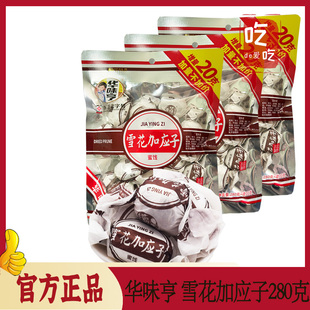 酸甜加应子话梅果脯蜜饯休闲零食果干 雪花加应子280g 华味亨