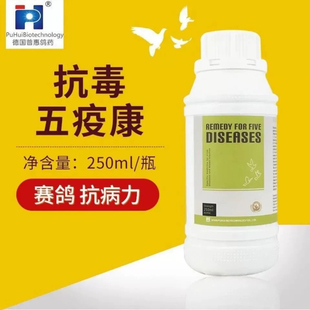 抗毒五疫康(现抗五康)普惠250毫升/瓶新城疫腺病毒鸽瘟鸽痘流感