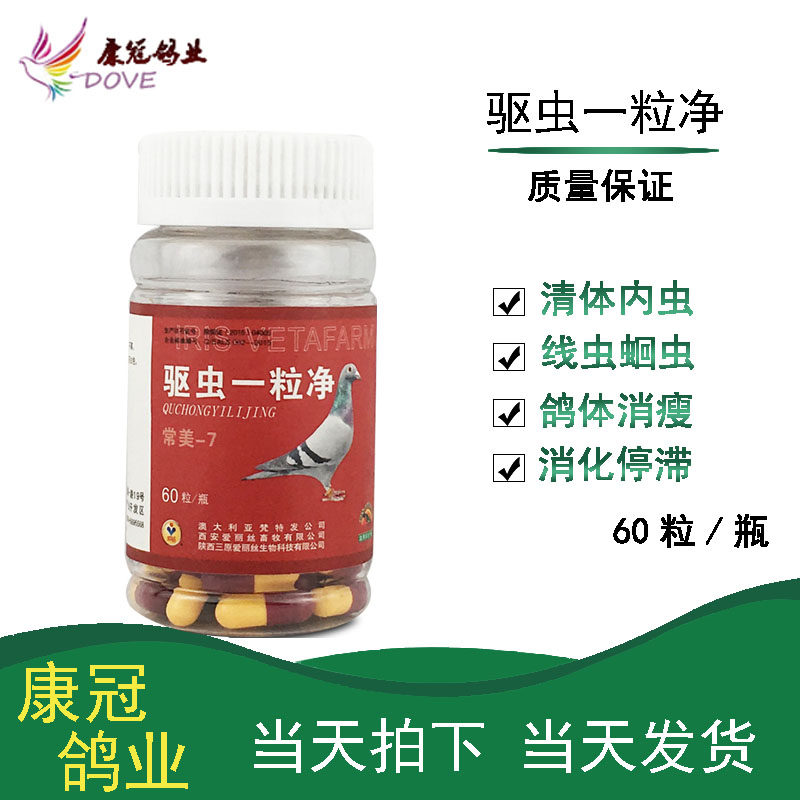 爱丽丝鸽药驱虫一粒净60粒信鸽药品赛鸽清理体内虫蛔虫线虫鸽子药