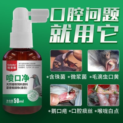 格莱德喷口净鸽子毛滴虫专用口腔喷雾喷剂念珠菌呼吸道药鸽药大全