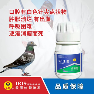 爱丽丝鸽药念珠菌50克鸽子口腔上颚白点嘴巴发臭呼吸困难针尖白点
