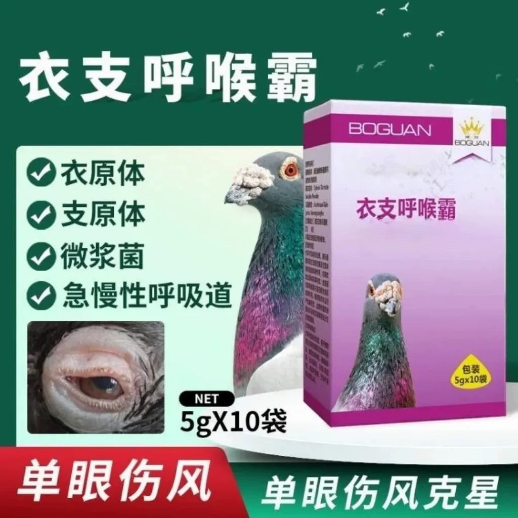 搏冠鸽药衣支呼喉霸粉剂单眼伤风微浆念珠菌呼吸道衣原用博冠