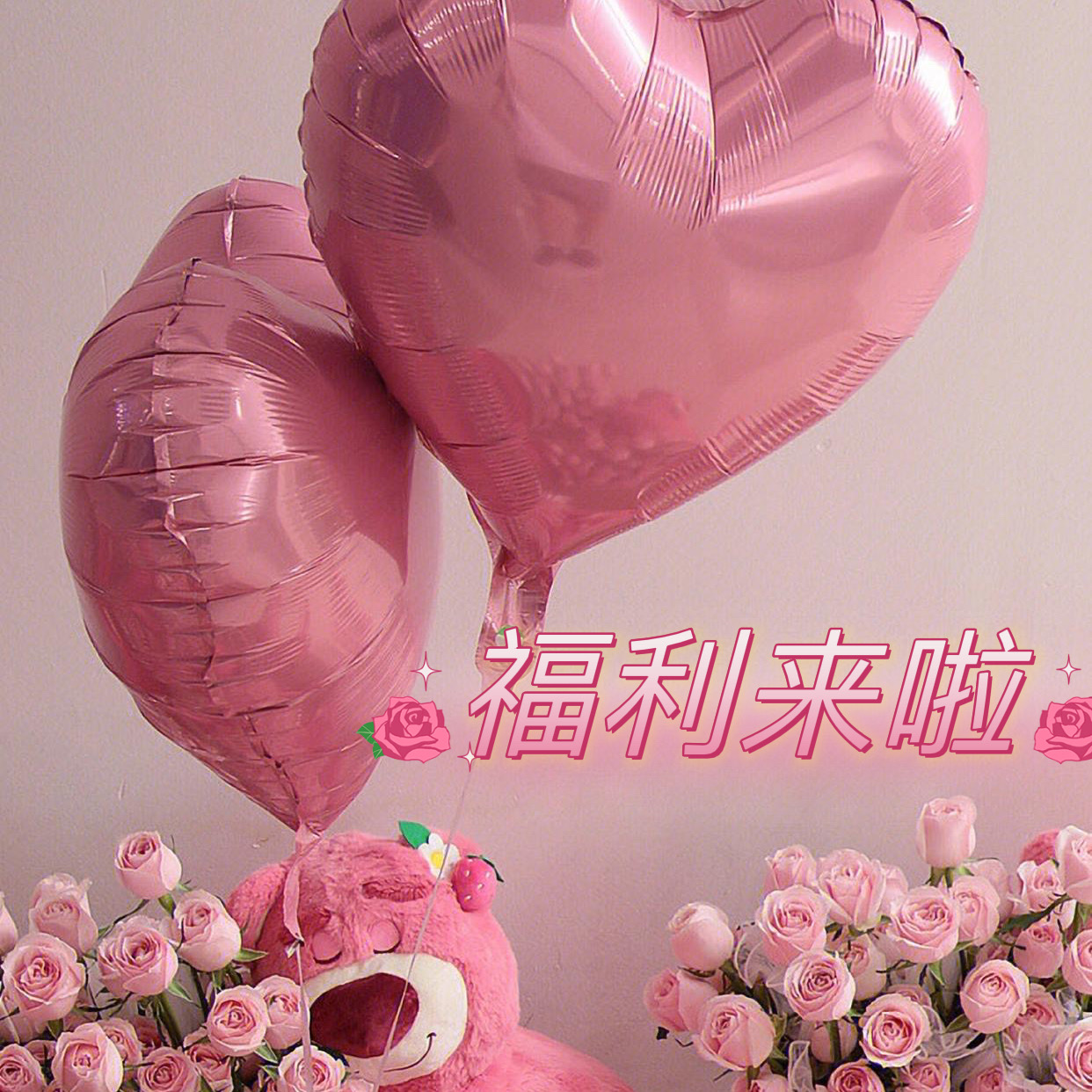 粉丝福利超值超划算超推荐