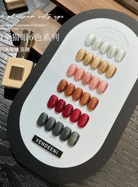 VDN2025年新款高密度猫眼甲油胶秋冬流行铂金猫眼美甲店小套系
