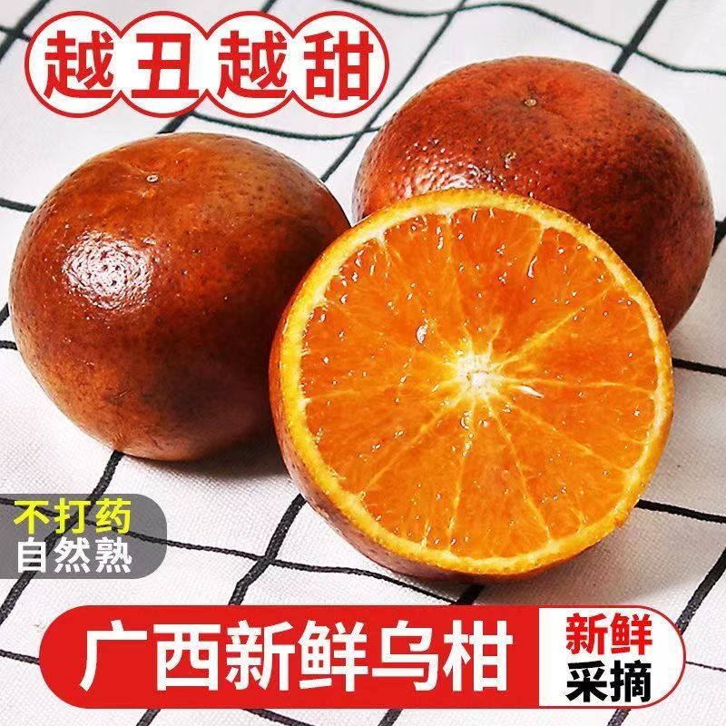 正宗广西乌柑沃柑应季现摘水果非洲丑柑橘薄皮桔子3/5/10斤包邮,水产肉类/新鲜蔬果/熟食,桔子,淘宝优惠券,粉丝福利购,淘宝优惠卷
