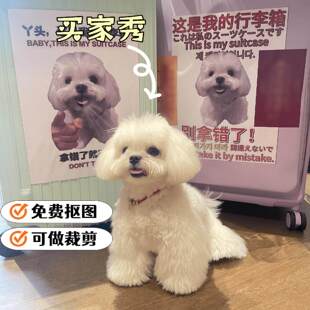 宠物定制狗狗头像贴纸定制宠物照片贴纸免费抠图可做裁剪贴画