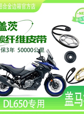 适用摩托车铃木V-stromDL650链条改装皮带传动美国盖茨碳纤维皮带