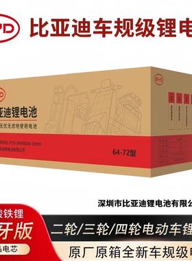 新国标48V60V72V新日小刀绿源电动车改装增程比亚迪磷酸铁锂电池