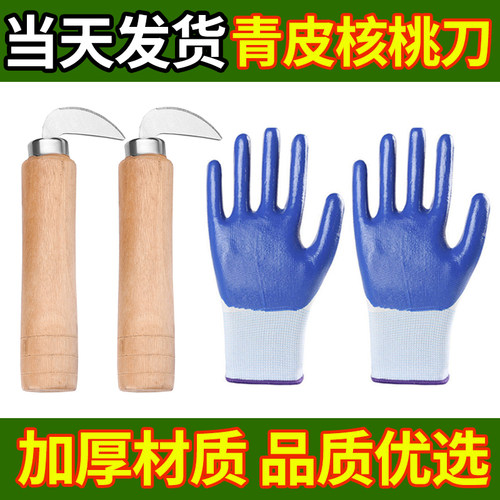 青皮核桃开工具核桃刀子