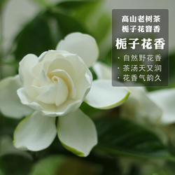 【7月福利】野生栀子花香福鼎白茶白牡丹冷泡热泡花香持久50g寻芷