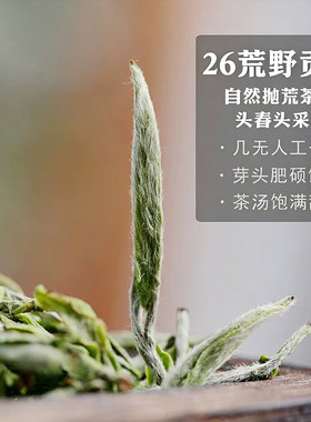 【蝴蝶夫人】2026年贡眉王福鼎白茶头采荒野特级老树小叶菜茶50g